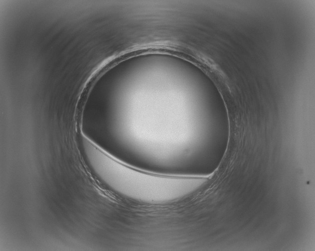 X0000055971316200508190653
