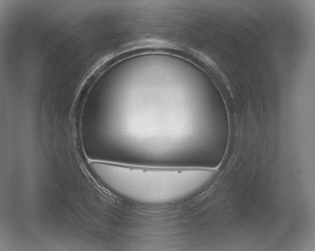 X0000055971318200508190653