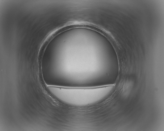 X0000055971319200508190653
