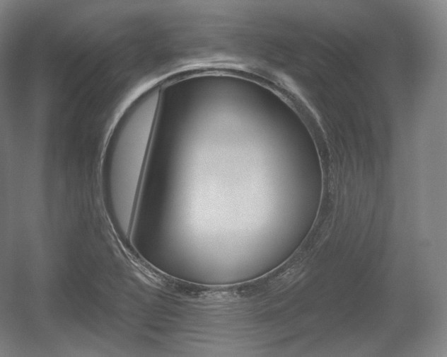 X0000055971320200508190653