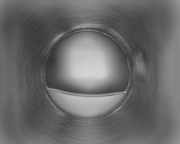 X0000055971321200508190653