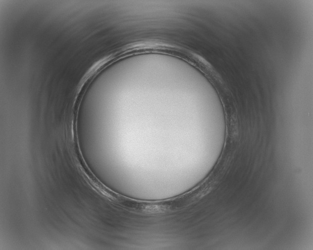 X0000055971322200508190653