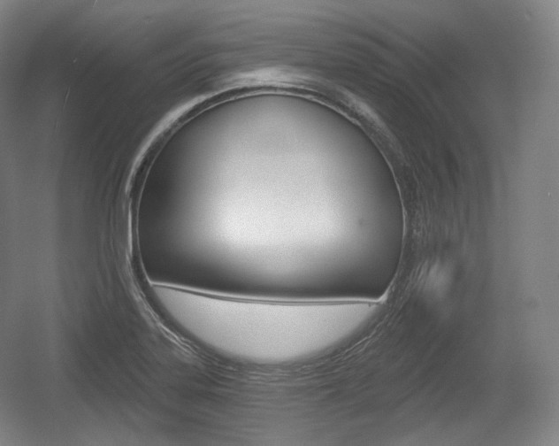 X0000055971323200508190653