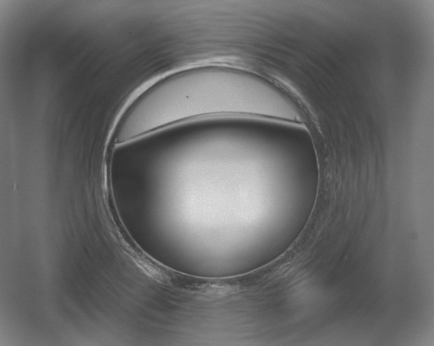X0000055971324200508190653