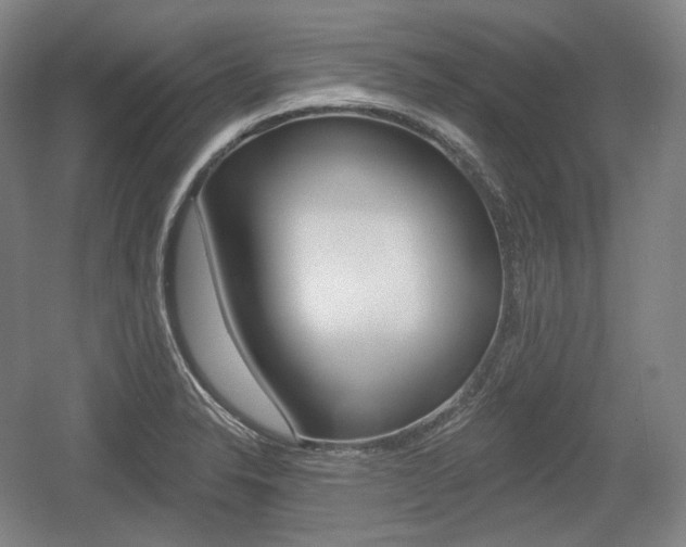 X0000055971326200508190653