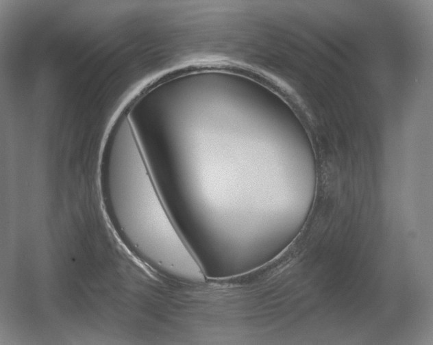 X0000055971327200508190653