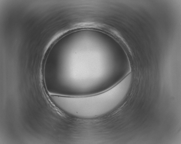 X0000055971328200508190653