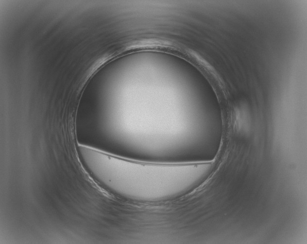 X0000055971329200508190653