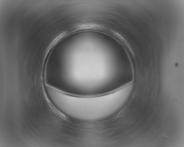 X0000055971330200508190653