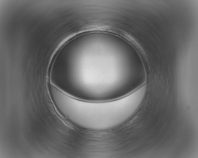 X0000055971332200508190653