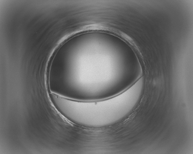 X0000055971334200508190653