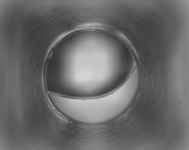 X0000055971336200508190653