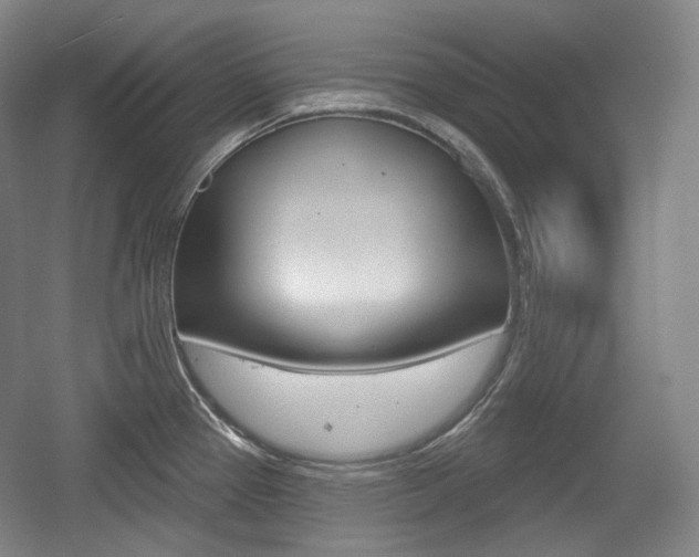 X0000055971337200508190653