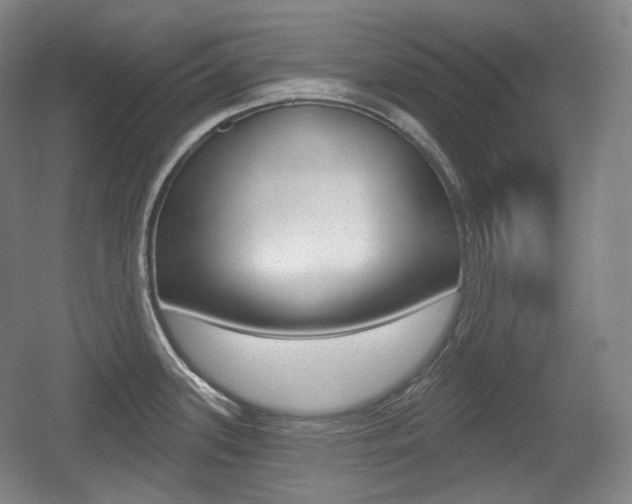 X0000055971339200508190653
