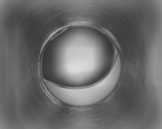 X0000055971340200508190653