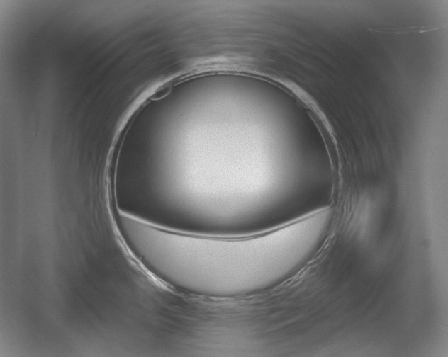 X0000055971341200508190653