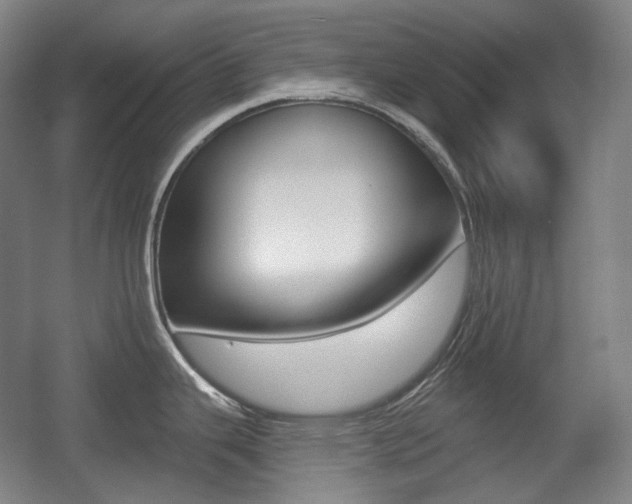 X0000055971343200508190653