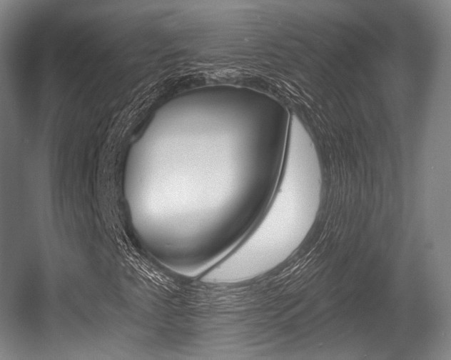 X0000055971345200508190652