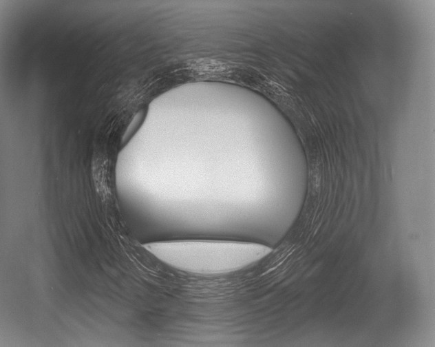 X0000055971346200508190652
