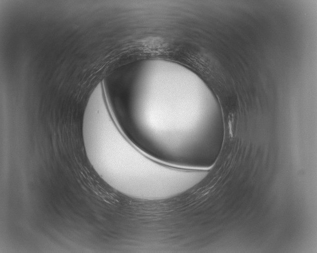 X0000055971347200508190652