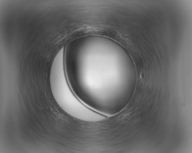 X0000055971348200508190652