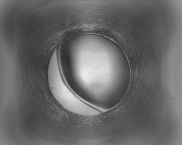 X0000055971349200508190652