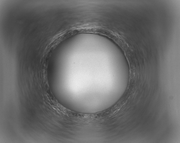 X0000055971350200508190652