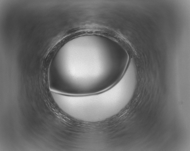 X0000055971352200508190652