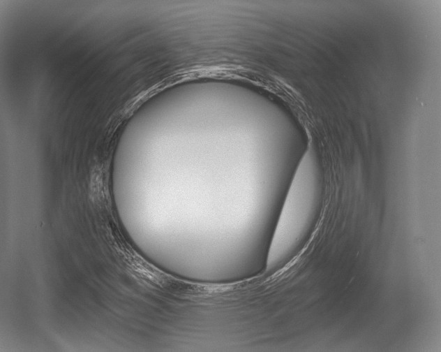 X0000055971353200508190652
