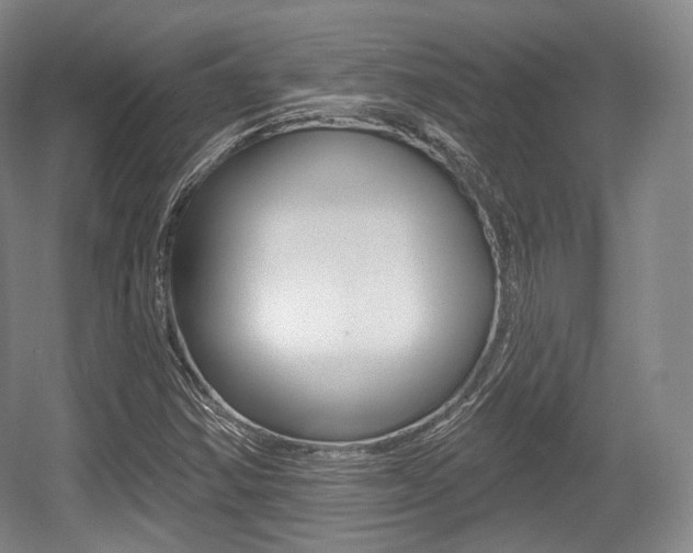 X0000055971354200508190652