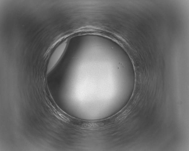 X0000055971355200508190652