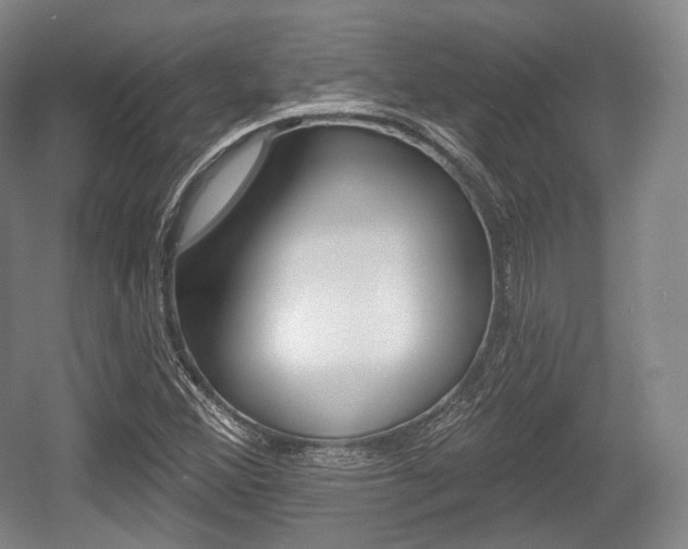 X0000055971356200508190652