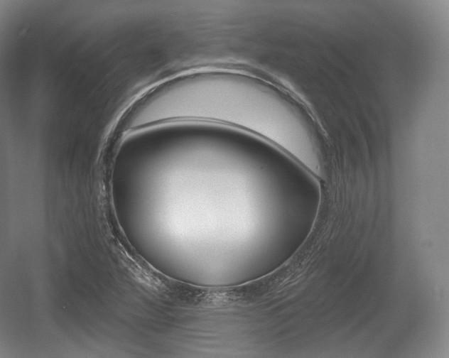 X0000055971360200508190652