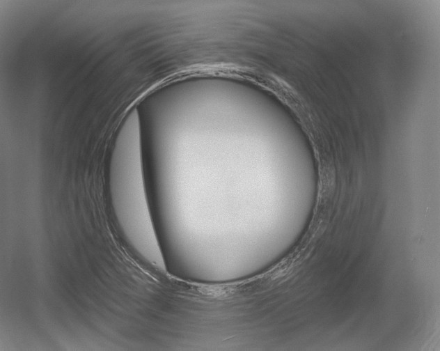 X0000055971361200508190652