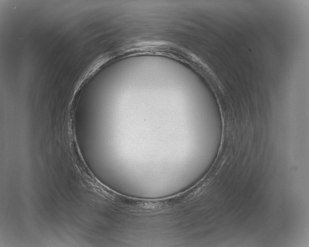 X0000055971362200508190652