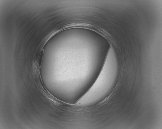 X0000055971369200508190652