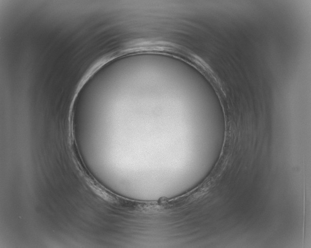 X0000055971370200508190652