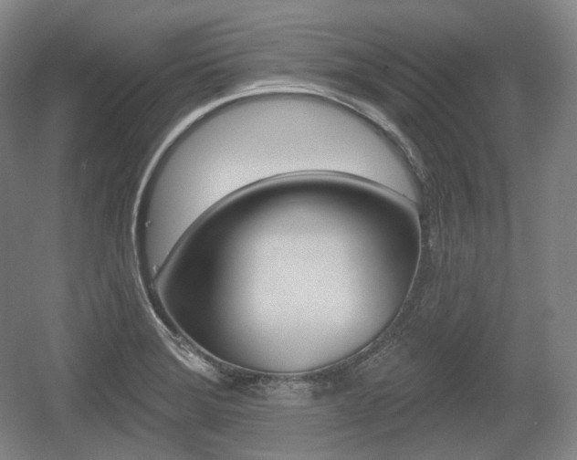 X0000055971372200508190652
