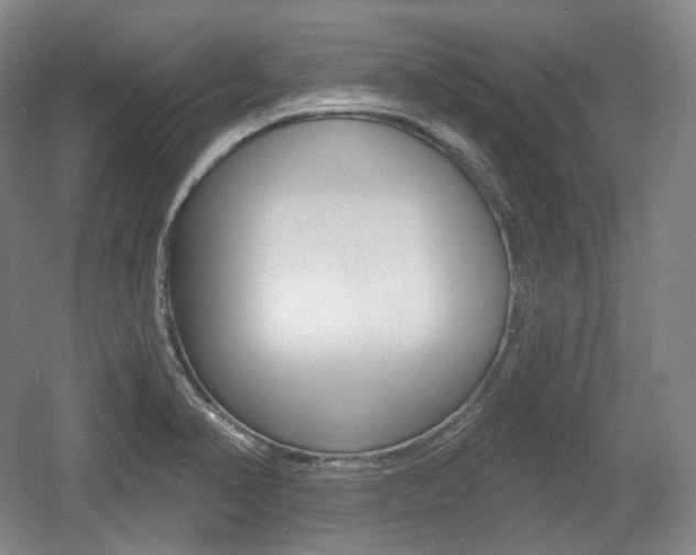 X0000055971374200508190652