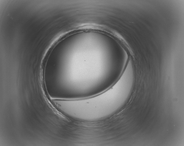 X0000055971376200508190652