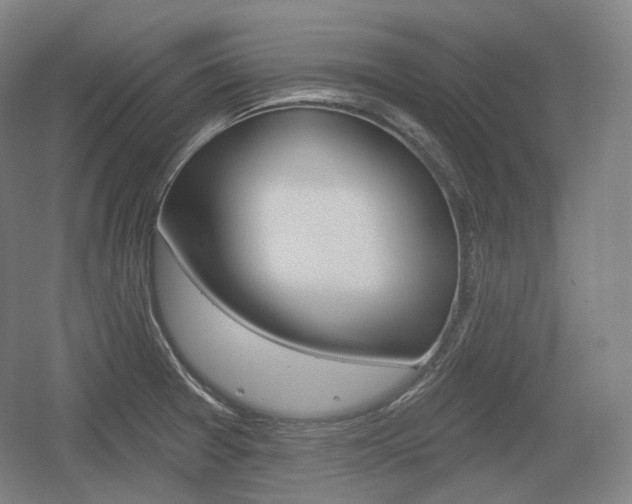X0000055971377200508190652