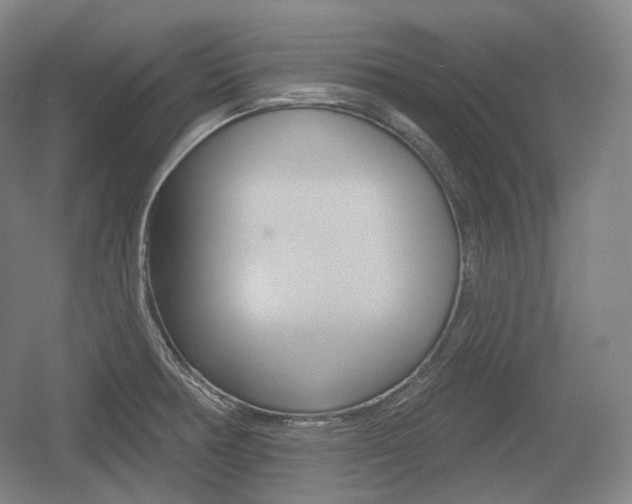 X0000055971378200508190652