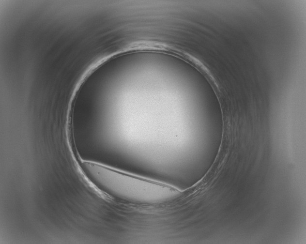 X0000055971379200508190652