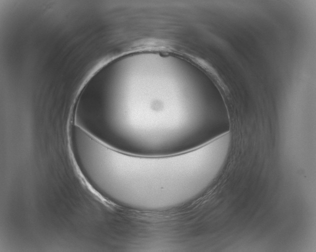 X0000055971383200508190652