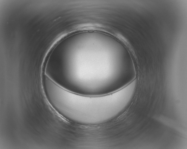X0000055971384200508190652