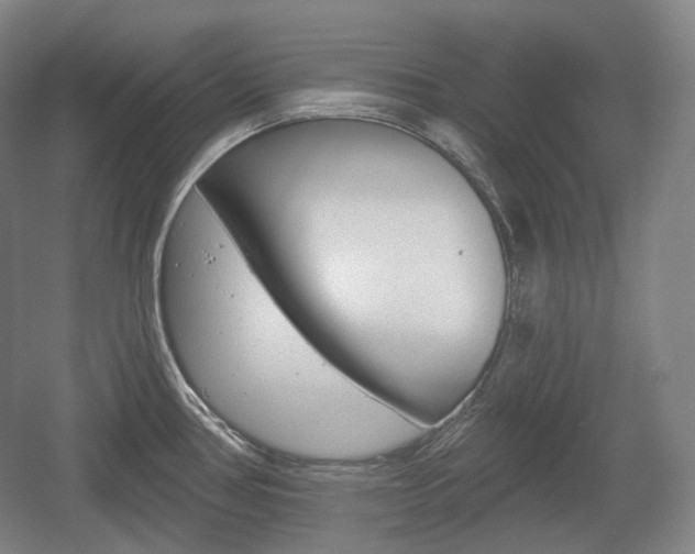 X0000055971386200508190652