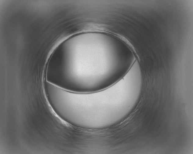 X0000055971387200508190652
