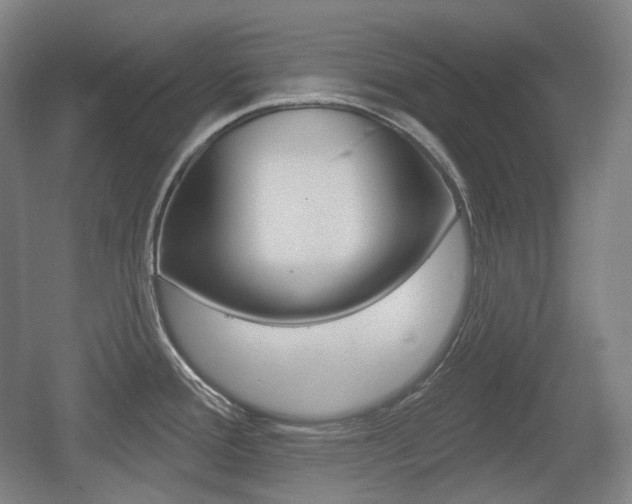 X0000055971388200508190652