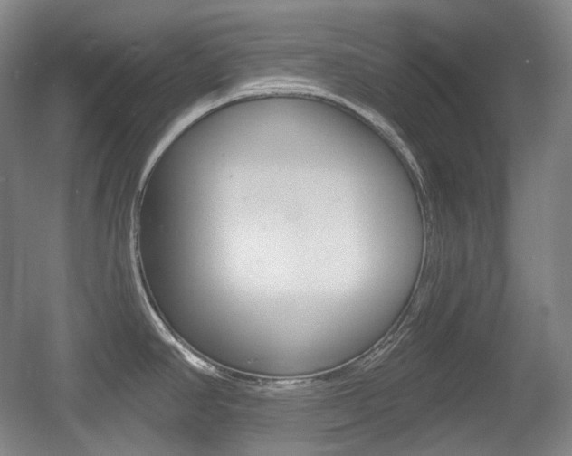 X0000055971390200508190652