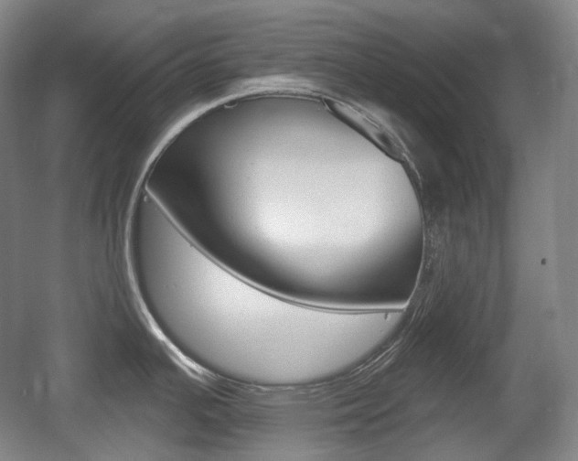 X0000055971391200508190652